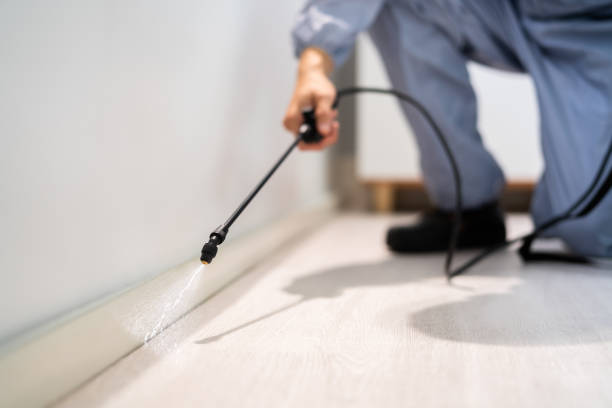 Licensed Cockroach Control service in Corunna, MI - Nex Pest Control