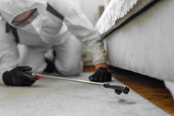 Professional Cockroach Control technician working in Corunna, MI
