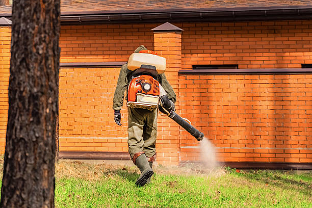 Trusted Ant Control service in Corunna, MI - Nex Pest Control